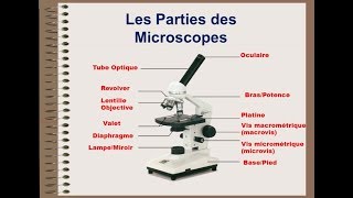 Microscope optique  biologie cellulaire [upl. by Adnala378]