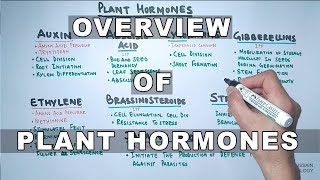 Plant Hormones  Types and Functions [upl. by Neroc]