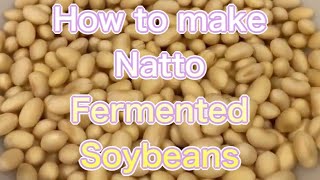 how to make Natto（fermented soybeans [upl. by Hussar]