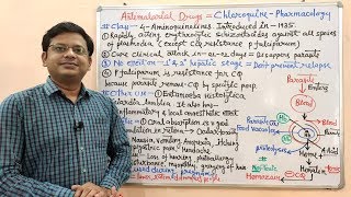 Antimalarial Drugs Part05 Chloroquine Mechanism of Action  Chloroquine  Chloroquine MOA [upl. by Attenal764]