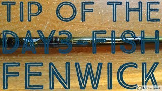 Fenwick Rod Review [upl. by Bramwell]