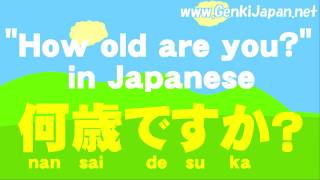 Learn Japanese How old are you GenkiJapanNet [upl. by Ehtylb]