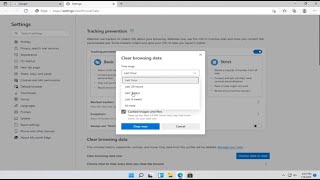 Windows 11  How to Delete Browsing History Tutorial [upl. by Cioffred]