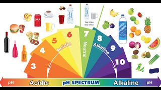 Acidic Foods vs Alkaline Foods [upl. by Ricki]