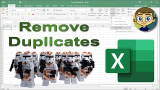 Remove Duplicates Tool in Excel [upl. by Akirdnwahs]