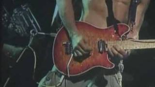 VAN HALEN  dreams live 2004 [upl. by Gunner76]