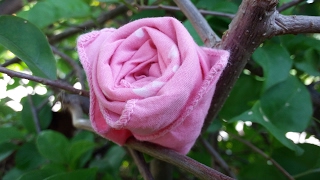 DIY How To Make Rose From HANDKERCHIEF [upl. by Arual]