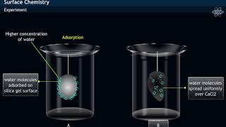 Adsorption amp Absorption  Experiment [upl. by Enitsuj]