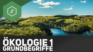 Grundbegriffe der Ökologie  Ökologie 1 [upl. by Nnairam]