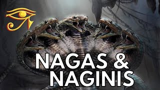 The Nagas amp Naginis  Serpentine Beings of Indian Legend [upl. by Venetia]