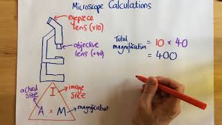 Microscope Calculations  p14 [upl. by Heymann698]