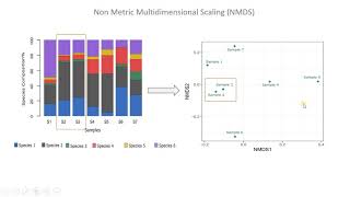 NMDS Nonmetric multidimensional scaling Clearly Explained  R Studio [upl. by Artimas920]