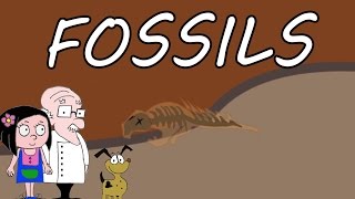 EARTH What are fossils [upl. by Ettevroc]