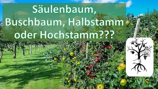 Die 4 Baumformen  Säulenbaum Buschbaum Halbstamm und Hochstamm [upl. by Aselehc]