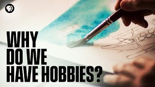 Why Do We Have Hobbies [upl. by Behl266]