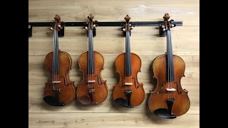 Introduction to Beginning String Orchestra Instruments [upl. by Peppi]