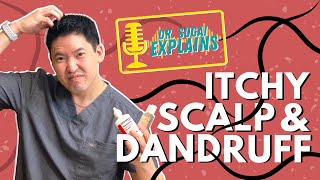 Dr Sugai Explains Itchy Scalp and Dandruff What Shampoos to Consider [upl. by Karlie]