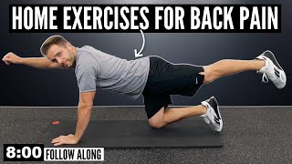 8Minute Home Exercise Routine For Back Pain  FOLLOW ALONG [upl. by Nivlem]