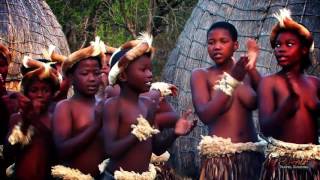 Beautiful Traditional African Zulu Dancing Africa Travel Channel [upl. by Sina]