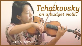 Cheap Beginner Violin from Amazon Mendini MV300 Played by a Pro Violinist Wow [upl. by Nageet]