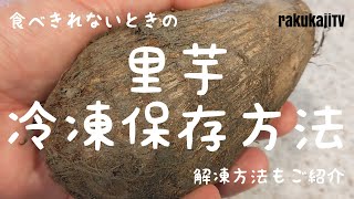 【冷凍保存】里芋のおいしい冷凍方法とおすすめ解凍料理 [upl. by Leahci]