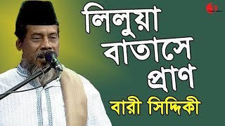 লিলুয়া বাতাসে প্রাণ  Bari Siddiqui  Amar Joto Gaan  Channel i  Iav [upl. by Law]