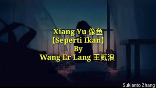 Xiang Yu 像鱼 Seperti ikan  王贰浪 Wang Er Lang amp lyricslirik [upl. by Tiffy]