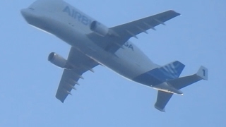 Nikon P900 Zooming In On Planes [upl. by Atteugram]