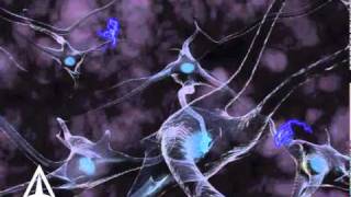 How Neurotransmission amp brain signals work  3D animation [upl. by Annwahs157]