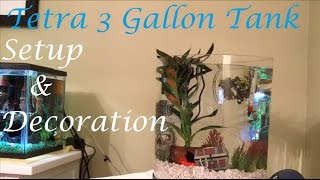 Tank Setup  How to Set Up the Tetra 3 Gallon Halfmoon Aquarium [upl. by Ennovihs]