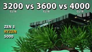 3200 vs 3600 vs 4000MHz RAM Ryzen 5 5600X Zen 3 Ryzen 5000 [upl. by Forlini772]