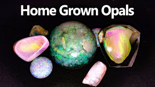 Can you GROW an Opal [upl. by Nosreffej]