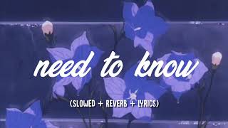 doja cat  need to know slowed  reverb  lyrics [upl. by Lyrej739]