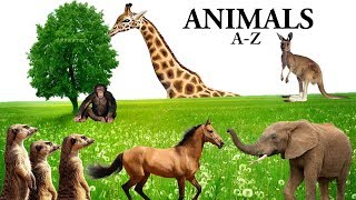 AZ ANIMALS NAMES [upl. by Abehsat176]