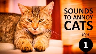 10 SOUNDS TO ANNOY CATS  Make your Cat Go Crazy HD Vol 1 [upl. by Chancellor]