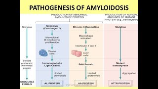 Cardiac Amyloidosis by Dr Mat Maurer [upl. by Thorley]