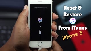 How to Reset iPhone 5s and FULLY Restore from iTunes  iPhone 5s5c5 DFU Mode [upl. by Alegnatal943]