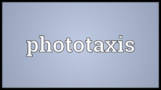 Phototaxis Meaning [upl. by Roselane]