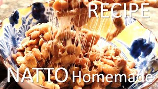 Homemade Natto Recipe with Yogurt Maker [upl. by Ahker]