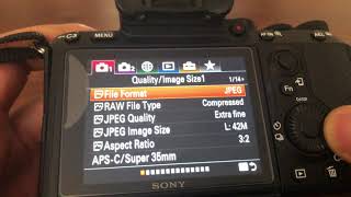 Sony A7riii A7iii A7rii a7ii A7sii  FACTORY SETTINGS RESET  HOW TO [upl. by Eneladgam]