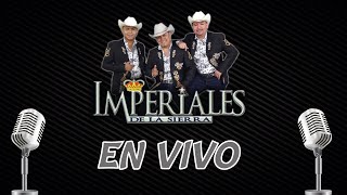 El Ausente  Imperiales de la Sierra EN VIVO [upl. by Ramahs]