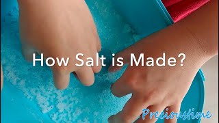 Homemade Flavored Salt Recipe  How to Make Herb Salt [upl. by Atinreb617]