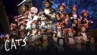 A Musical Montage  Cats the Musical [upl. by Nav]