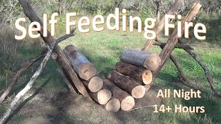 Self Feeding Fire  14 Hour Fire [upl. by Llenroc]