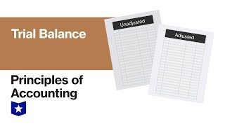 Trial Balance  Principles of Accounting [upl. by Siffre]