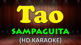 TAO  Sampaguita HD Karaoke [upl. by Ereveniug]