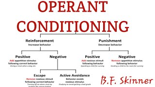 Operant conditioning in learning psychology [upl. by January528]