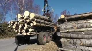 Horse logging Sweden [upl. by Halludba171]