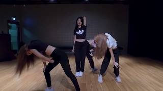 Mirrored amp Slow Motion Dance Practice BLACKPINK  ‘뚜두뚜두 DDUDU DDUDU’ [upl. by Eirffej234]