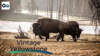 Vintage Yellowstone The Worlds First National Park  Full Vintage Documentary [upl. by Rammaj]